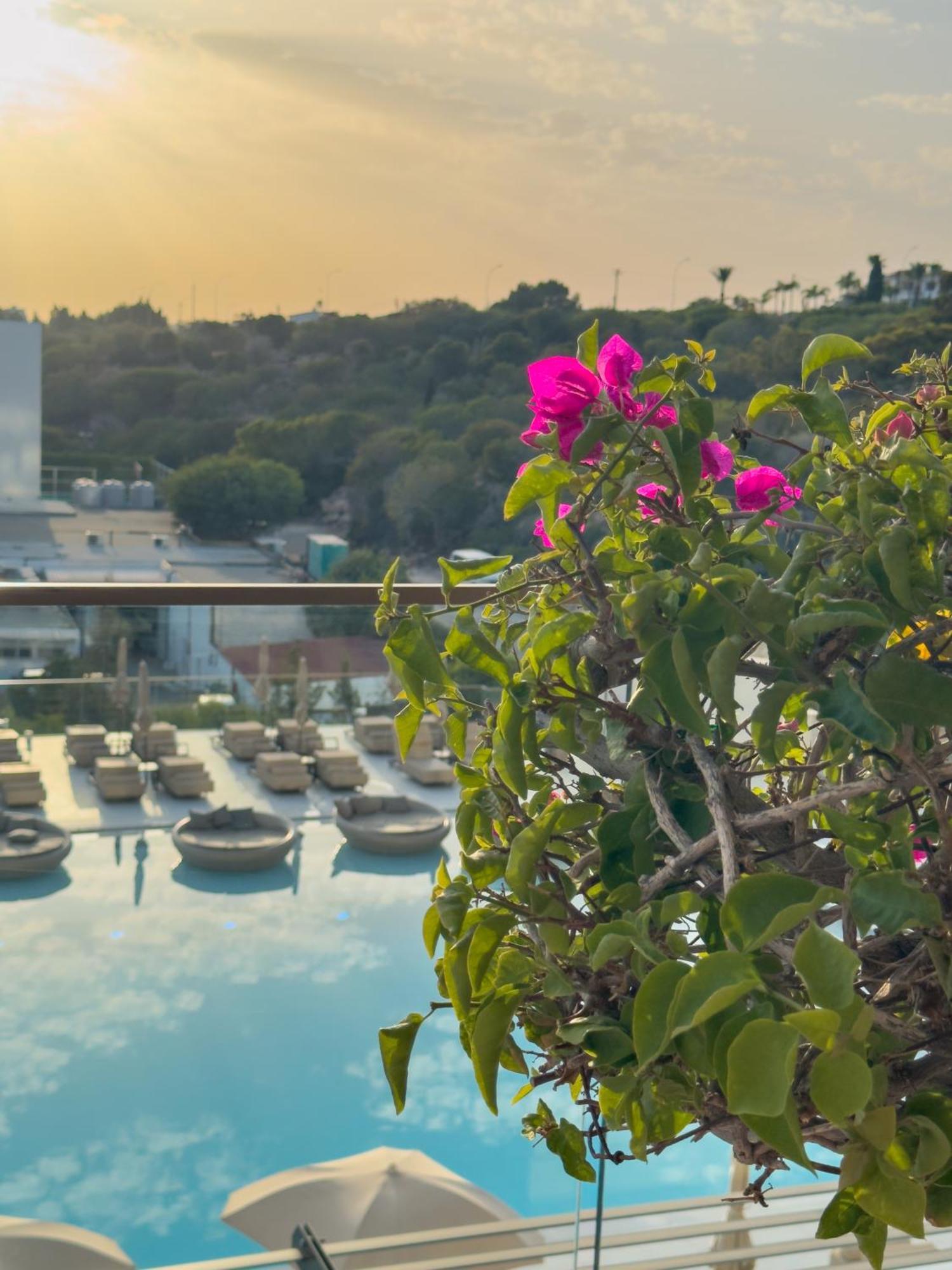 Amarande (Adults Only) Hotel Ayia Napa Luaran gambar Bougainvillea